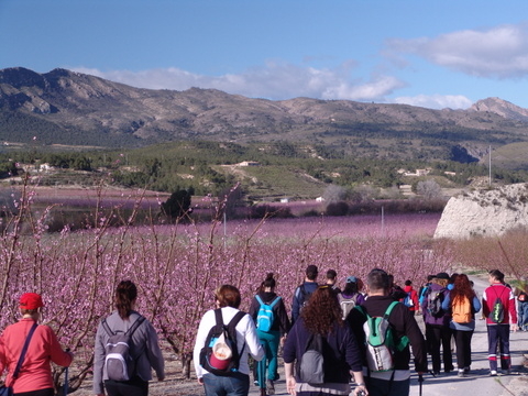 10km walking/cycling route, leaving from Cieza town