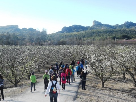 Cycling, walking, driving route 2, Cieza routes