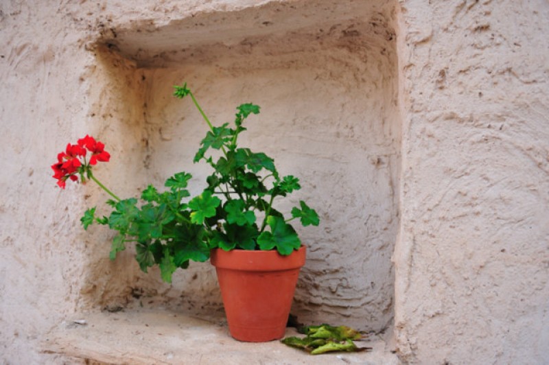Accommodation in Lorca: country cottages and rural properties to let