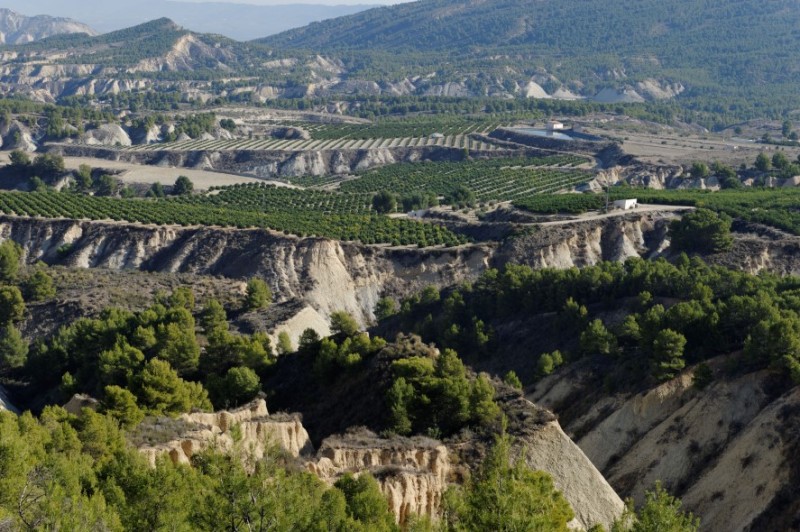 Outlying districts of Alhama de Murcia: Gebas