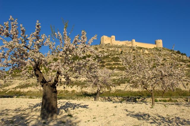 Introduction to the province of Alicante