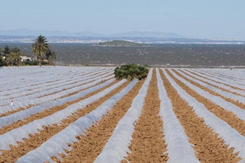 Why it is so difficult to solve the current problems in the Mar Menor