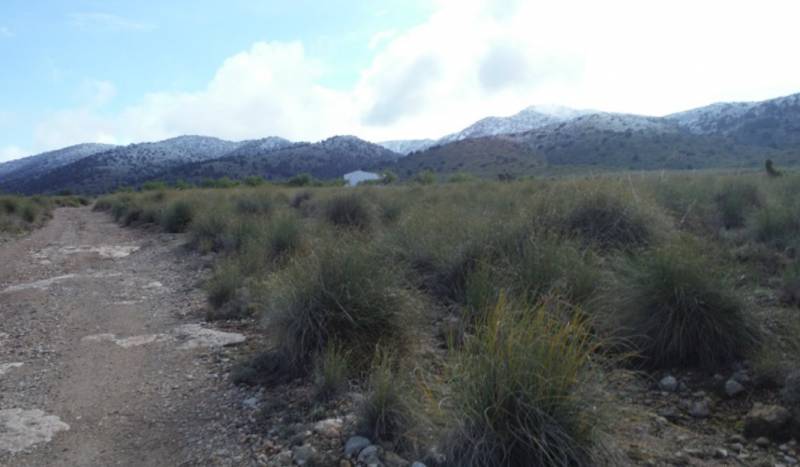 Walking in the Lorca countryside, the Calares de Cambrón route in Avilés