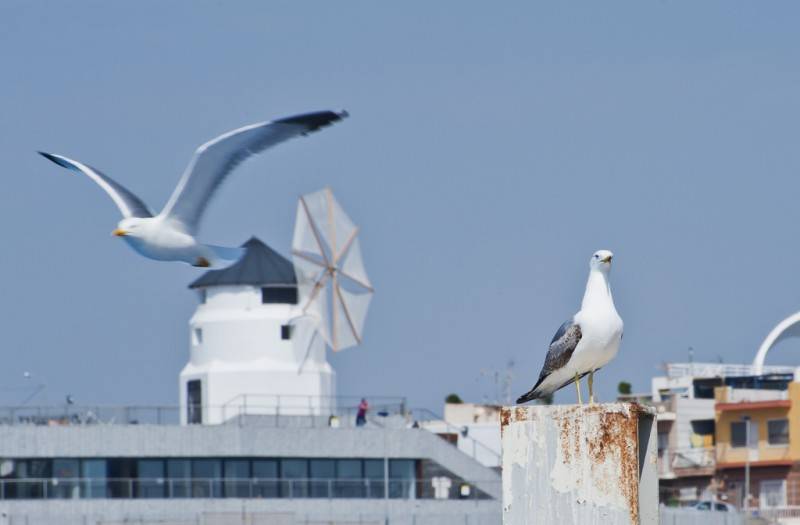 Aguilas museum and visitor centre opening times