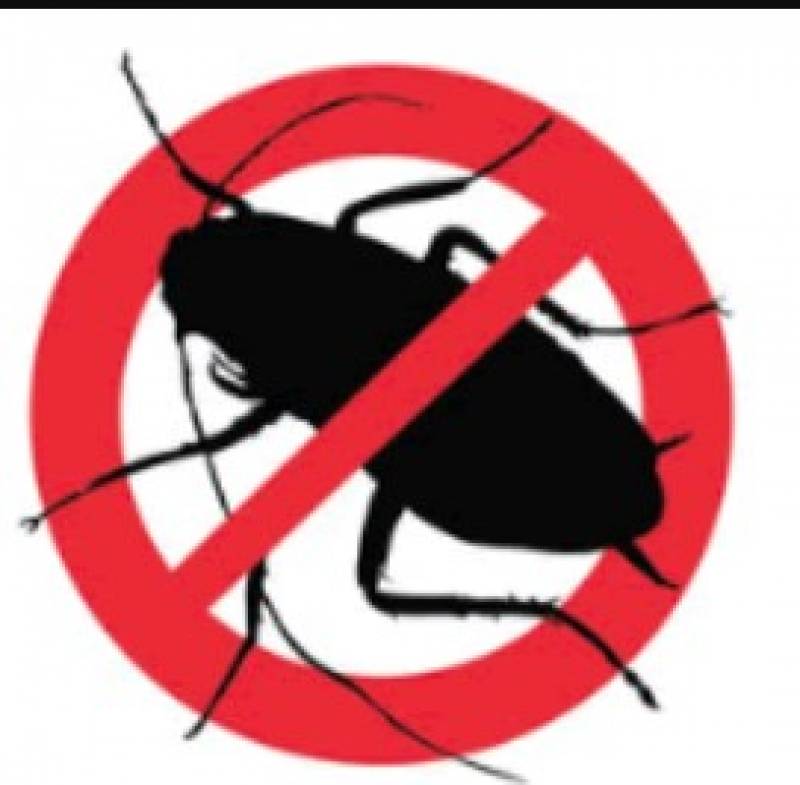 Condado de Alhama: Advance notice of cockroach fumigation