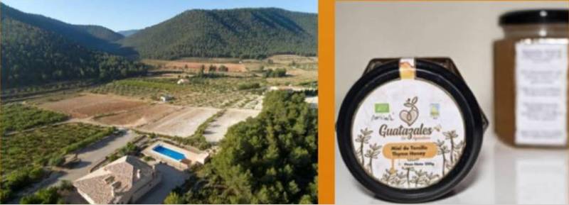 June 16 Trip to Guatazales from La Torre Golf Resort: Taste local honey, oil and wine and meet the happy bees