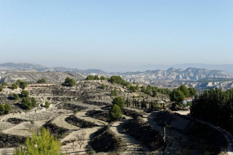 November 30 Free guided tour of Gebas in the mountains of Sierra Espuña
