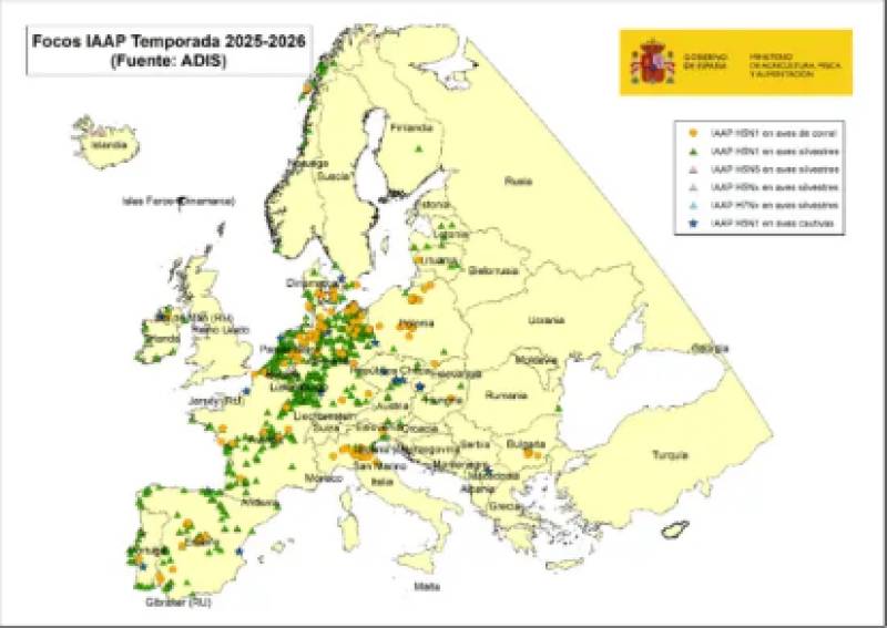 Spain orders poultry lockdown as bird flu cases surge