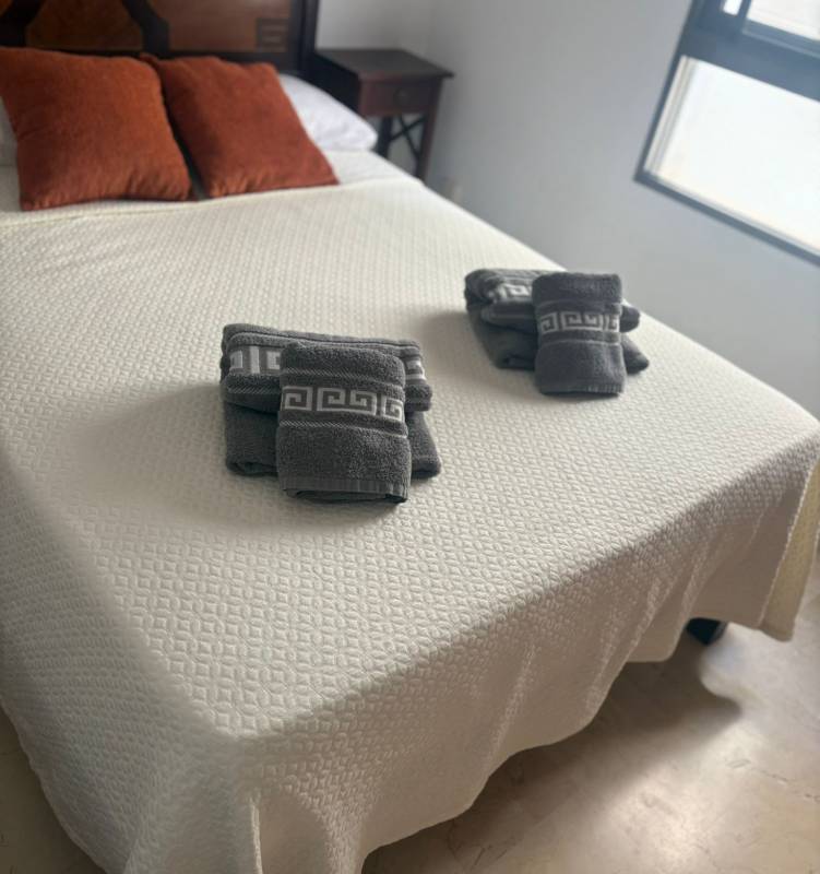 Keeping homes and businesses clean across Alicante and the Costa Blanca just got easier with Clean Now