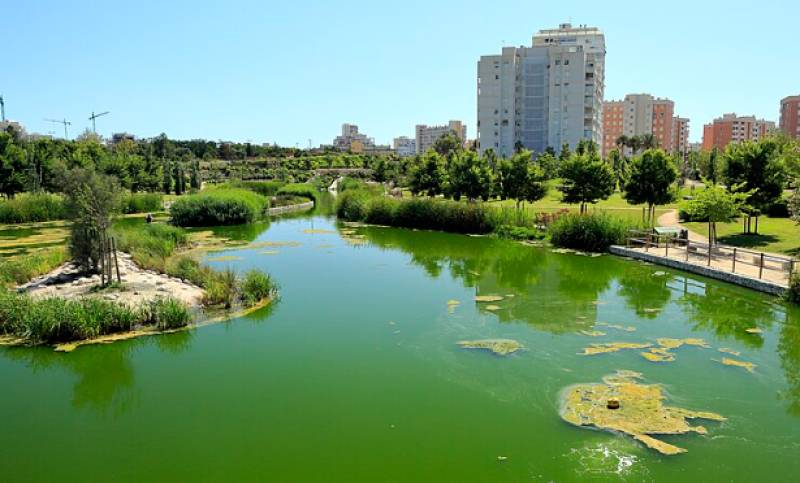 Alicante's priciest rental asks €40,000 a month