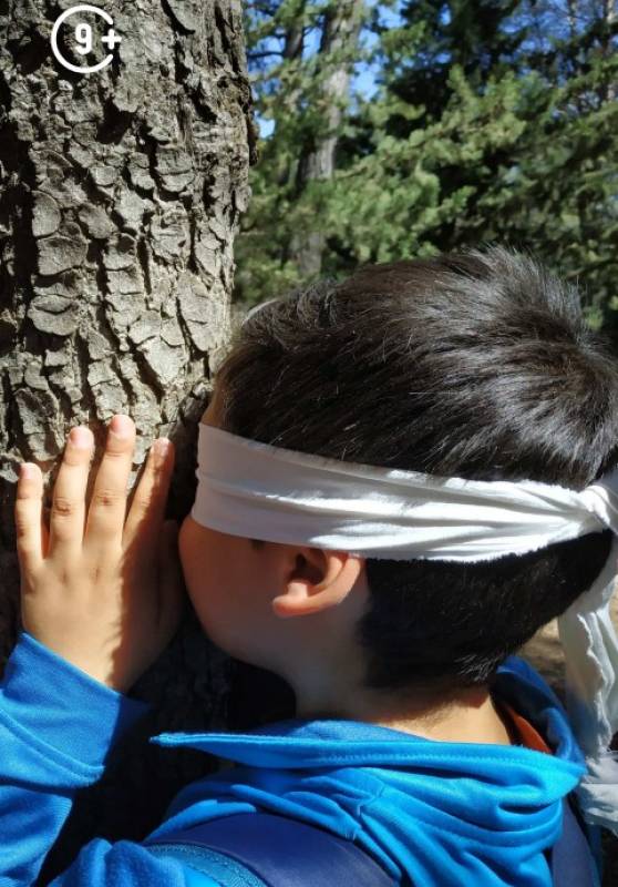November 29 Free family activity in the mountains of Sierra Espuña