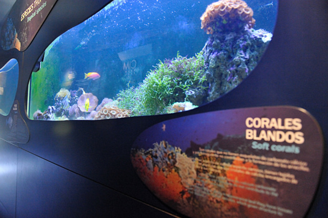 The CIMAR museum and aquarium in Águilas