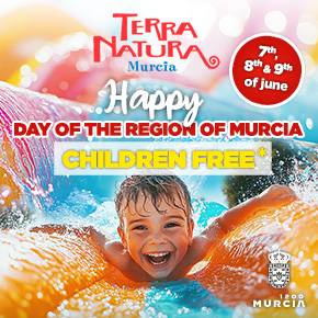 Terra Natura Lights Night